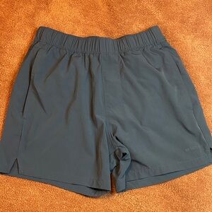 Hollister Men's Blue Athletic Shorts